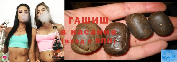 прущие грибы Вяземский