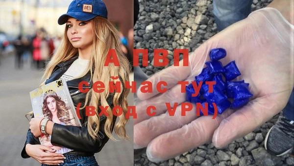 PSILOCYBIN Волосово