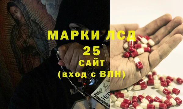 прущие грибы Вяземский