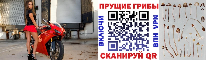 Галлюциногенные грибы Magic Shrooms  Мариинск 
