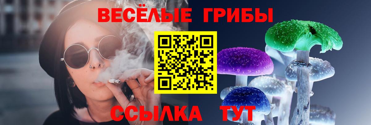 Мариинск  магазин  наркотиков  Псилоцибиновые грибы GOLDEN TEACHER  Вход с VPN  Псилоцибиновые грибы Psilocybe 